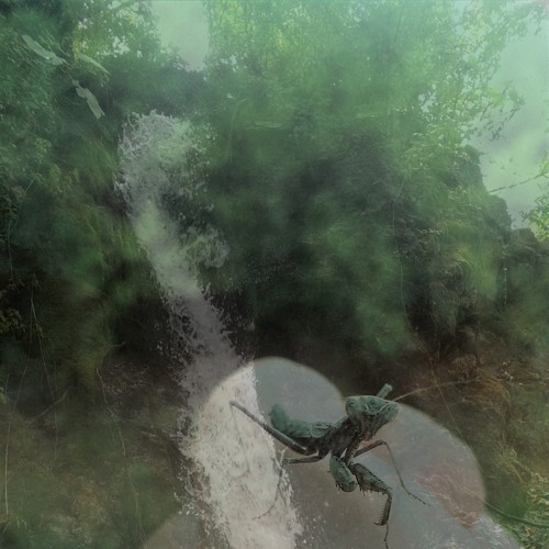 Heyoehkah_-_ HowDoUFeel/ 200bpm
