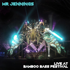 Live at Bamboo Bass Festival 2019
