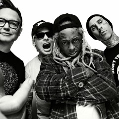 Blink-182 Lil Wayne A MIlli Whats My Age Again?