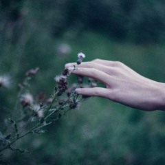 breath of nature