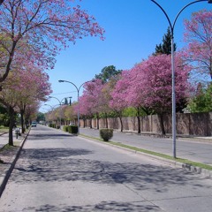 San Lorenzo