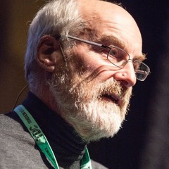 Dave Snowden on Liminality in Cynefin and Moving Beyond Agile to Agility