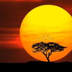 Circle Of Life (Orchestral backing track)