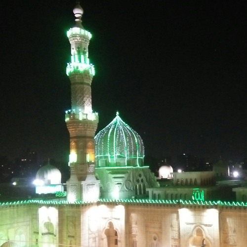 الشيخ هاني الحسيني