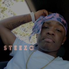 STEEZO Prod. Woodpecker