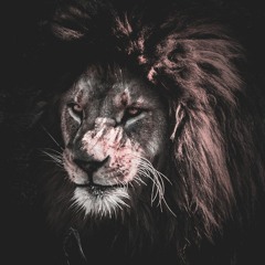 The Lion Who Shot Back