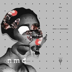 Sonic (Original Mix) [Nomad Species]