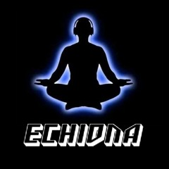 ECHIDNA - LOVE YOU FIRST (Perc Remix)