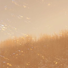 08 - Just Passing Through