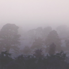 Sun Rain - Sheets