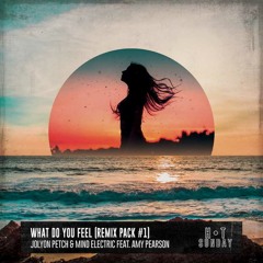 What Do You Feel (Knight Horse Remix)Jolyon Petch & Mind Electric feat. Amy Pearson