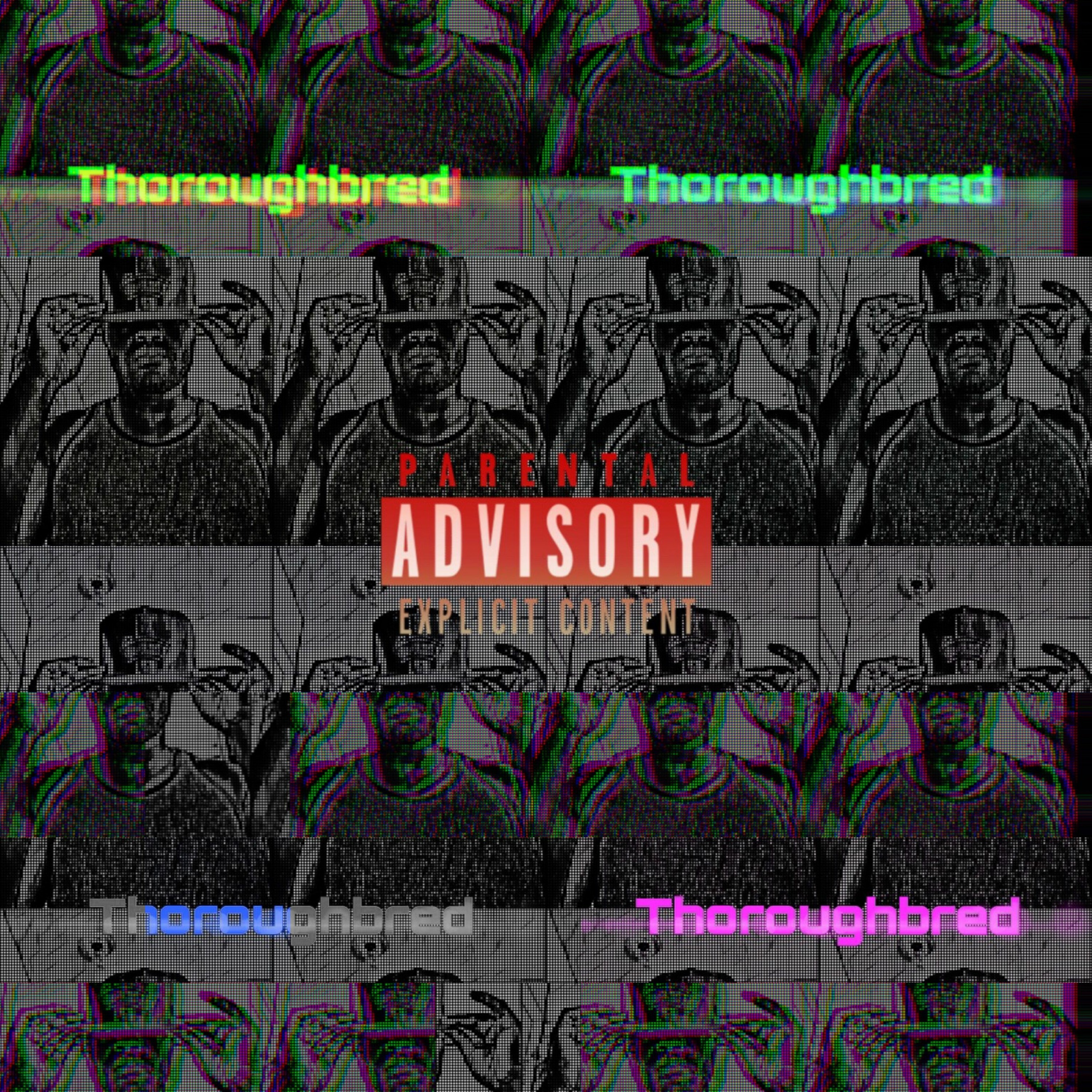 Thoroughbred (Fast draft) episode artwork