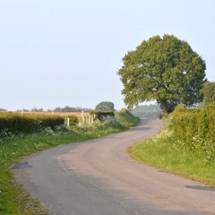 Passage sous l'chêne.