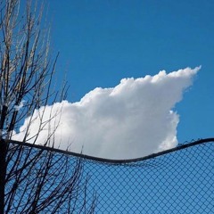 Ambient Collections 1