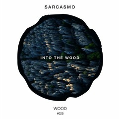 PREMIERE : Sarcasmo - Sordid Cipher (Original Mix)[WOOD]