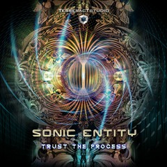 Sonic Entity - Section 9