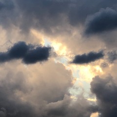 Cupid by Ryan Beatty