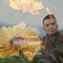 Blissful Flower By Thridu Nim Dorji