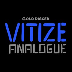 VITIZE - Analogue [Gold Digger Records]