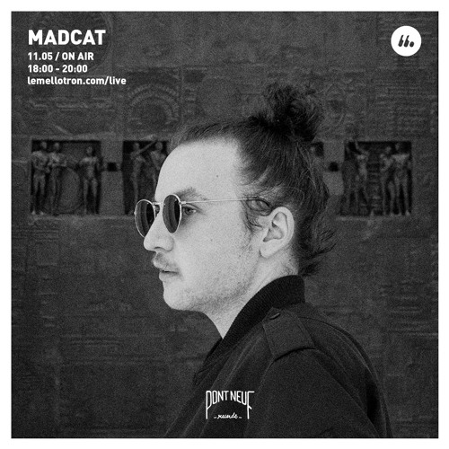 Pont Neuf 032 | Madcat