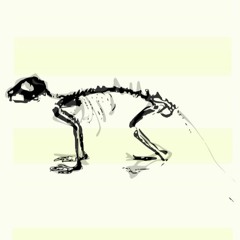 following_auri_bru[20190514164935]