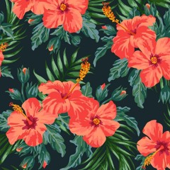 وَنَحْنُ أَقْرَبُ إِلَيْهِ مِنْ حَبْلِ الْوَرِيدِ- سورة ق - عبد الباسط عبد الصمد