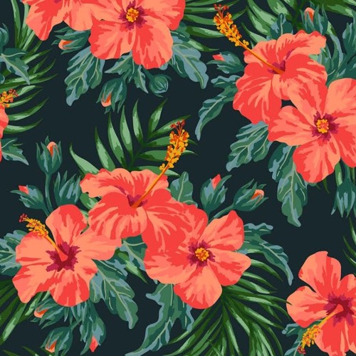 وَنَحْنُ أَقْرَبُ إِلَيْهِ مِنْ حَبْلِ الْوَرِيدِ- سورة ق - عبد الباسط عبد الصمد