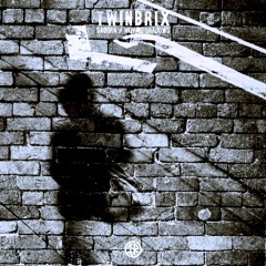 [INVSN026] TwinBrix - Saqqra & Moving Shadows