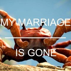 My Marriage Is Gone