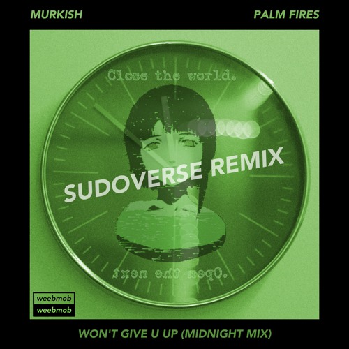 murkish x Palm Fires - Won't Give U Up (SUDOVERSE Remix)