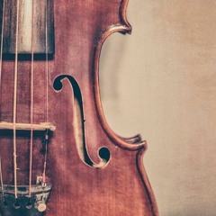 Lokatelli - P Etro - LArte - Del - Violino - Op3 - --Concerto - No2 - In - C-minor(muzbaron.com)