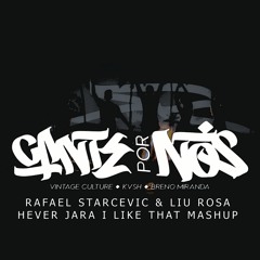 Vintage, KVSH, B. Miranda, H. Jara - Cante Por Nós (Rafael Starcevic & Liu Rosa I Like That Mashup)