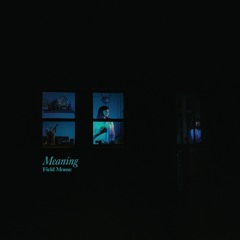 Field Mouse - "Skygazing"