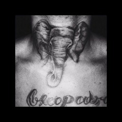 XXXTENTACION - Elephant In The Room (Better Quality)