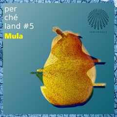 Mula - Perchéland #5