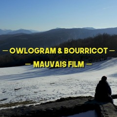 Owlogram & Bourricot - Mauvais film
