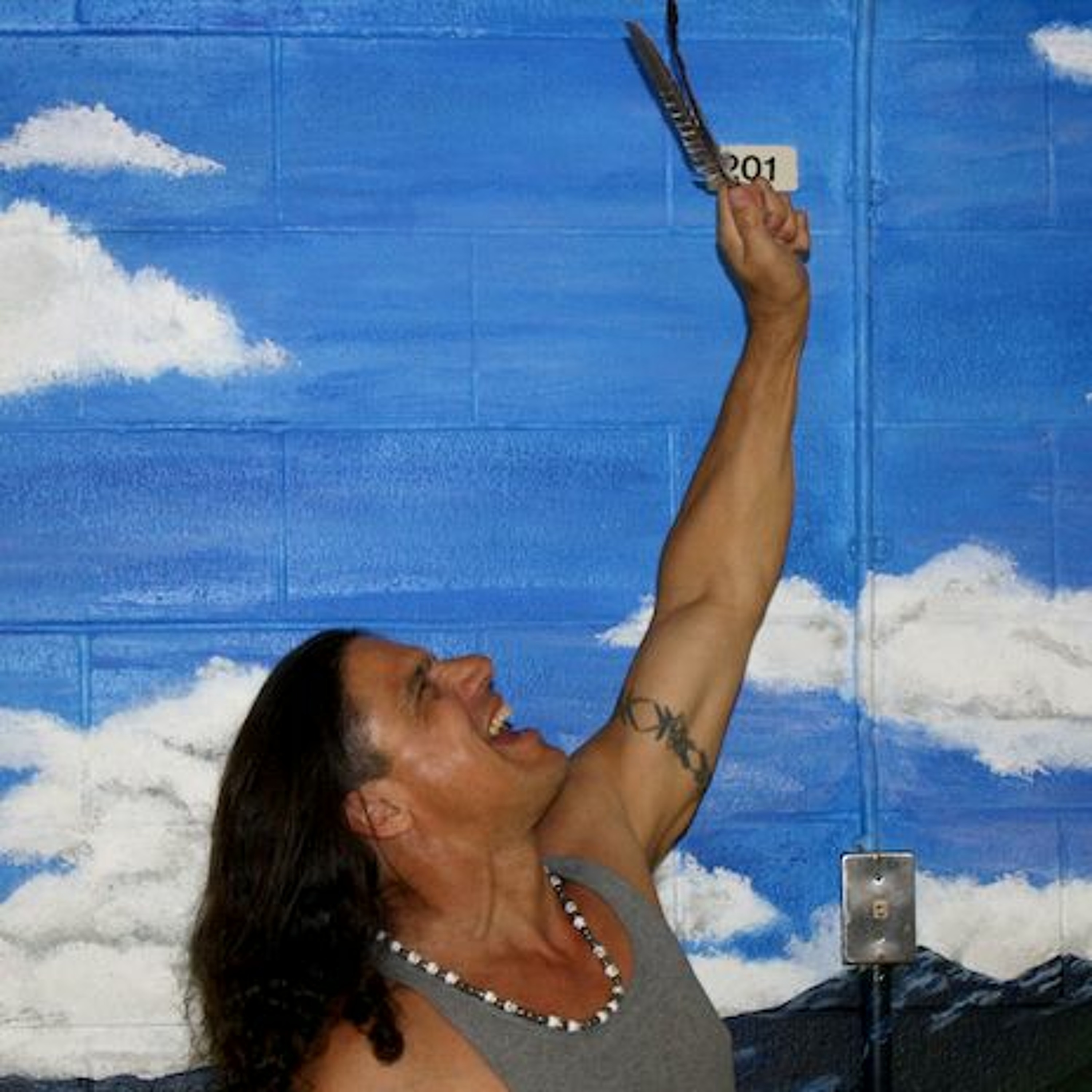 A wild turkey flies into a prison yard. Hilarity ensues. episode artwork