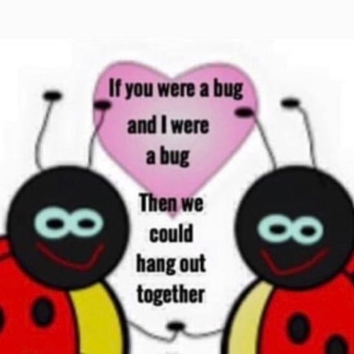 i wish i was a bug