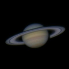 gadflies of the void