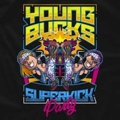 Young bucks 5th ROH theme war of nerves(with terminator and superkick party intro)
