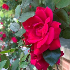 Damage (Prod. Micco)