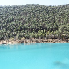 Những Bản Nhạc Piano Hay Nhất Mọi Thời Đại