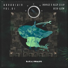 Indygo X Deep Filip - Acid Glow