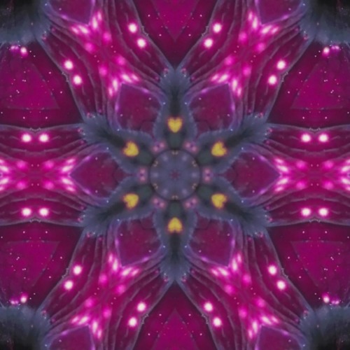 Everflow