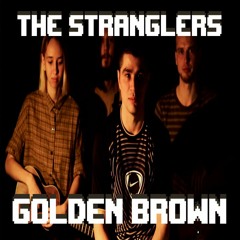 The Stranglers - Golden Brown (cover by fixtimeband feat. a n i c h q w e r t y)