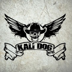 Agressive Noize - Piece Of Shit (DJ Kali Dog Remix)