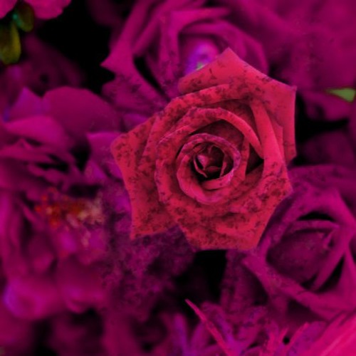 Progressive House Set - Progressive Session 42 By Dj Raspby