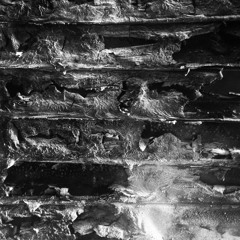 S'nek (Ece Eldek - Ege Kanar)