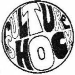 Culture Shock - Sky High (The Electric Dub Mix)