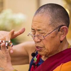 Garchen Rinpoche - Medicine Buddha Heart Mantra (20 Min)